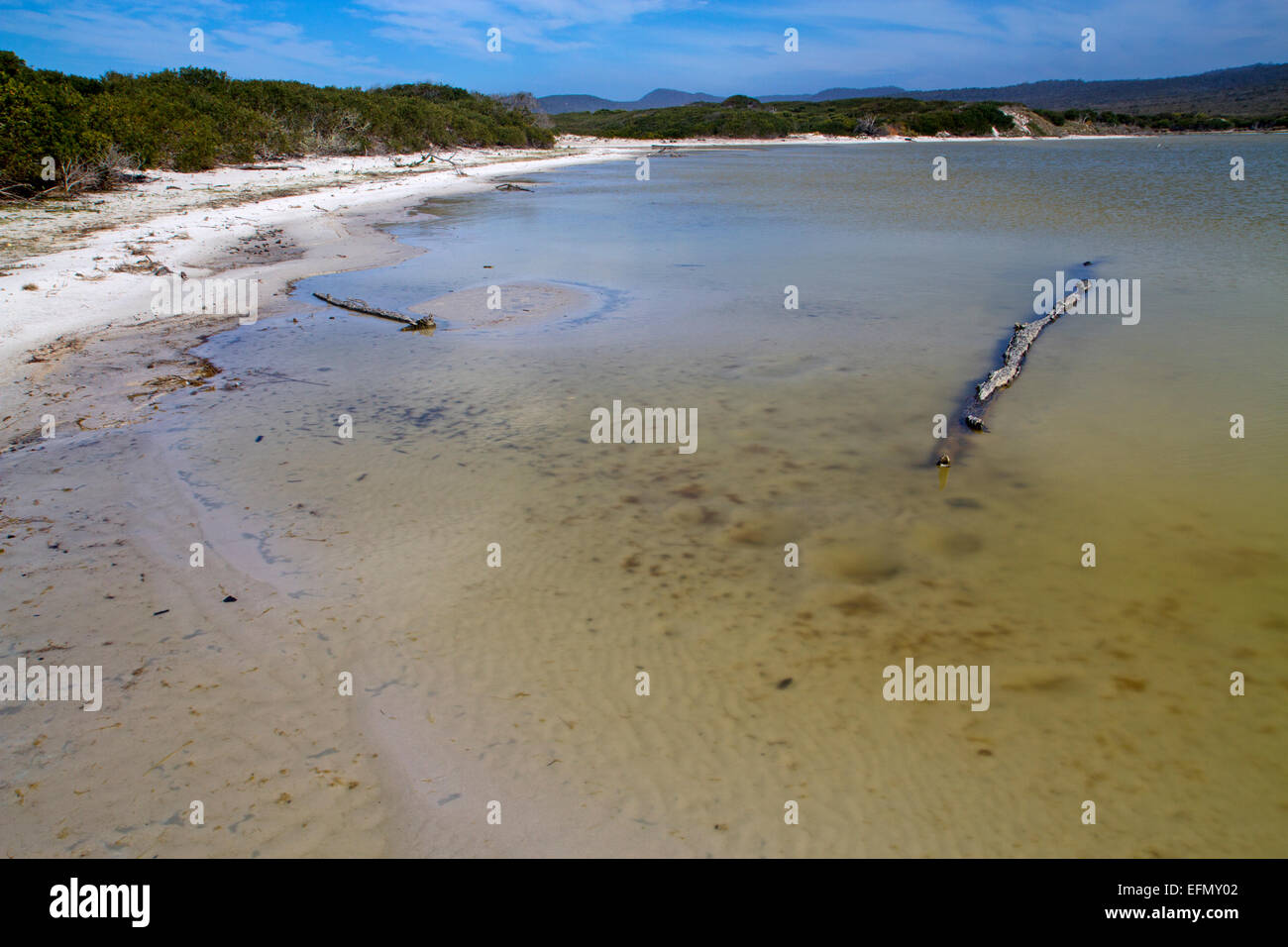 Saltwater Lagoon, tucked in behind the dunes along the Friendly Beaches Stock Photo