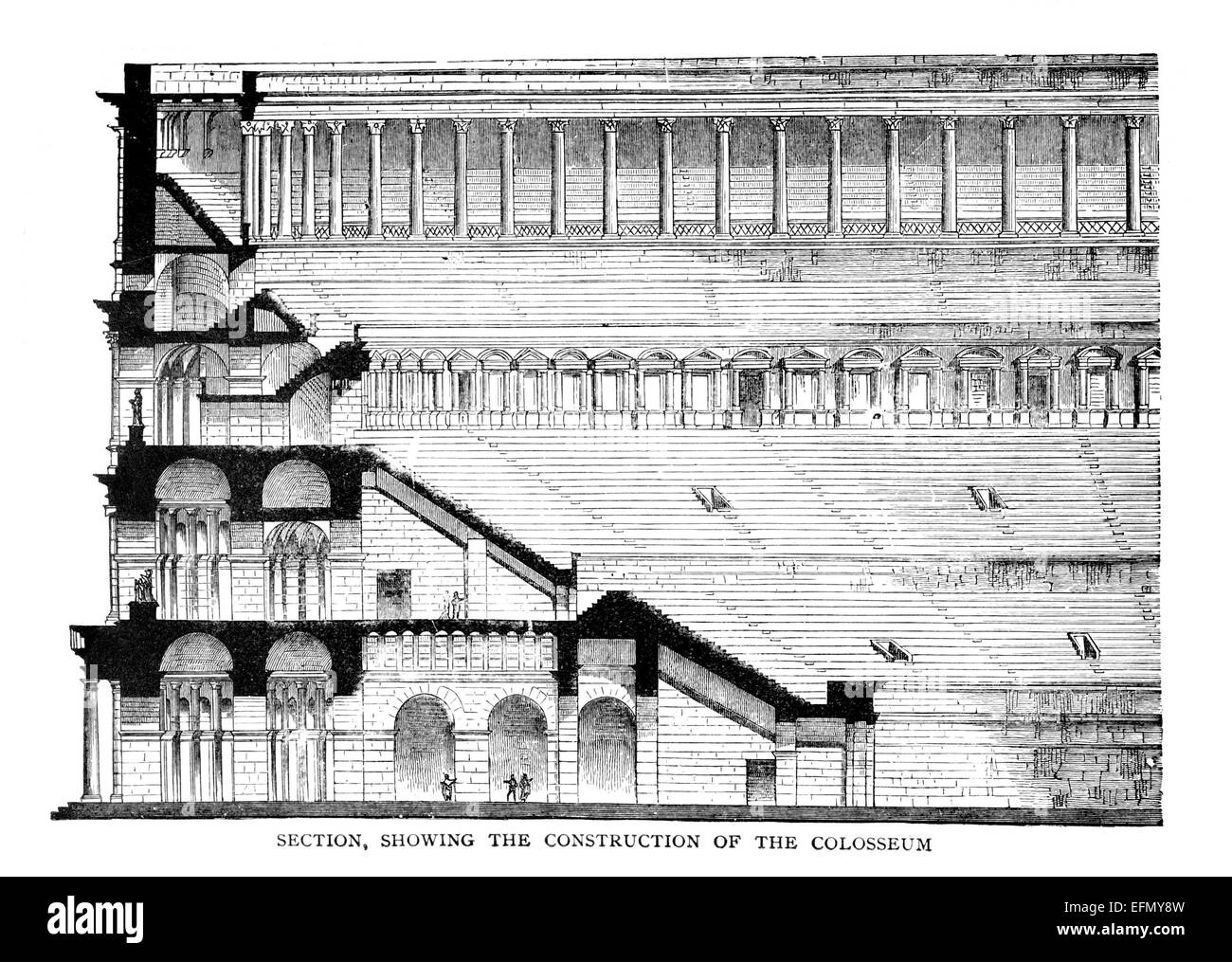 Roman Colosseum Diagram