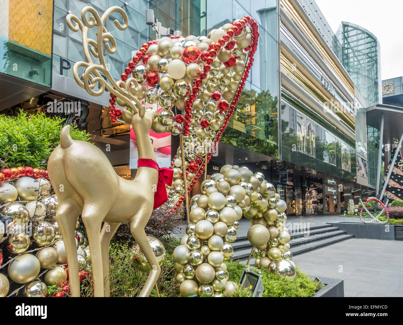Christmas tree in Ngee Ann City Shopping Center, Orchard Road, Singapore,  Stock Photo, Picture And Rights Managed Image. Pic. LKF-85983 | agefotostock