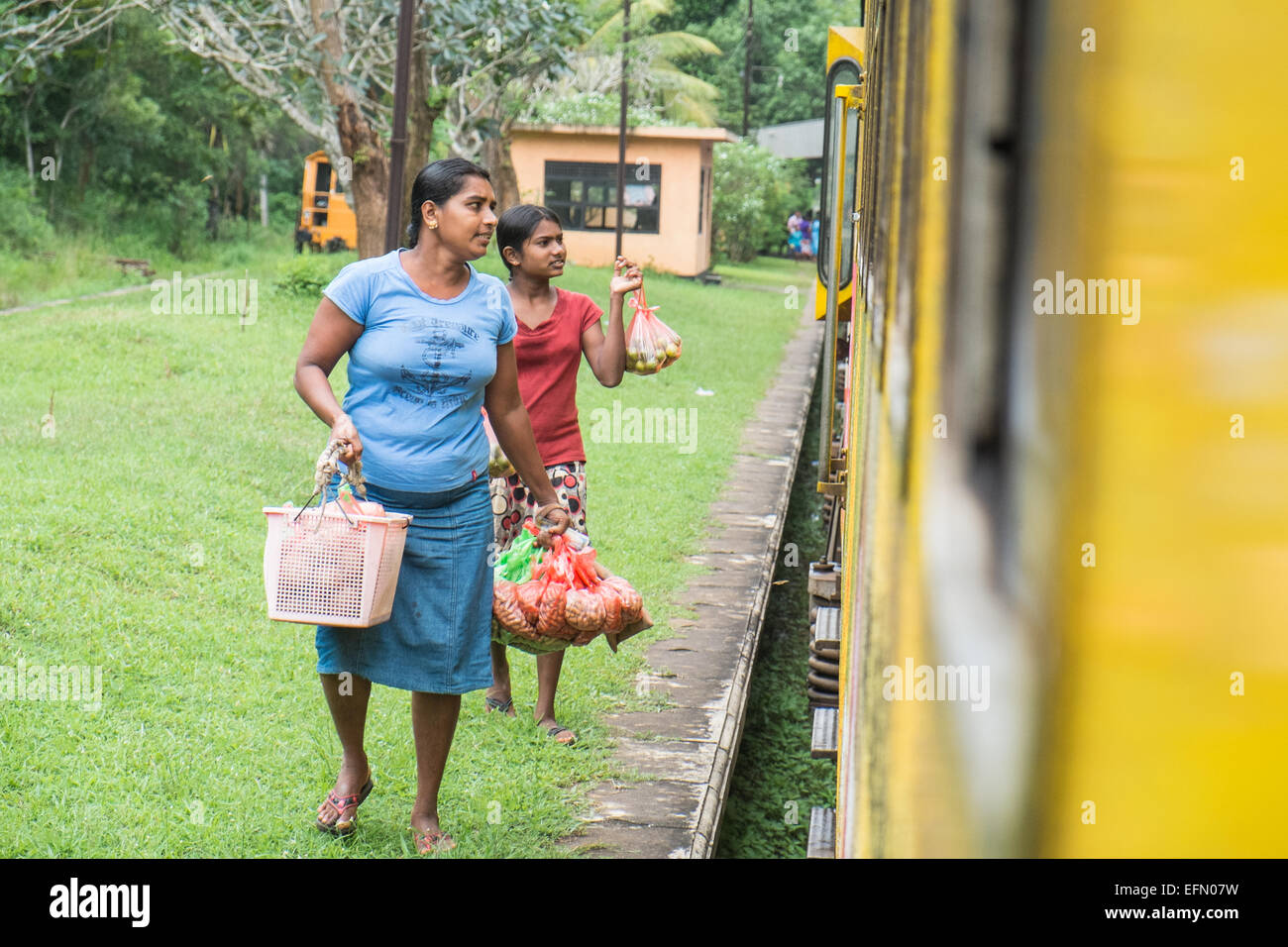 On train journey,trip, with guard,green, rural,rice fields, countryside from Anuradhapura to Colombo,Sri Lanka,Asia,South Asia. Stock Photo