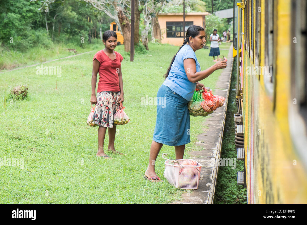 On train journey,trip, with guard,green, rural,rice fields, countryside from Anuradhapura to Colombo,Sri Lanka,Asia,South Asia. Stock Photo