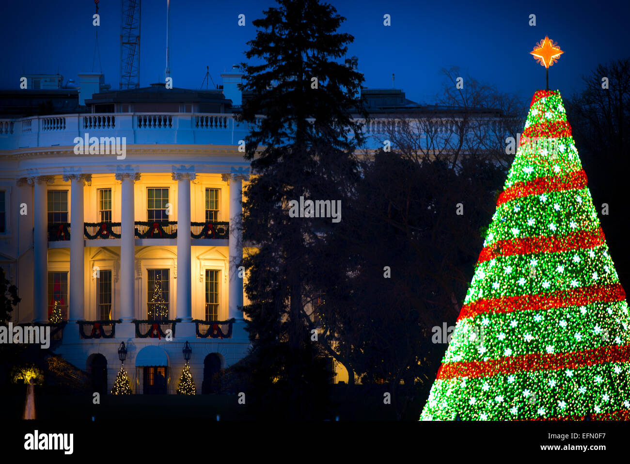 WASHINGTON DC, USA The White House Christmas Tree on the Ellipse in
