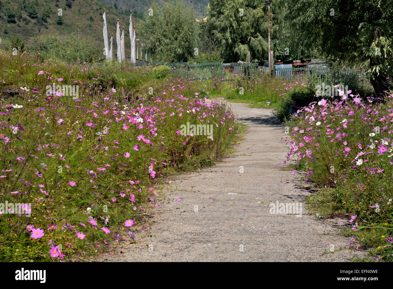 BU00054-00...BHUTAN - Path near the Tashichoedzong at the capital in Thimphu. Stock Photo