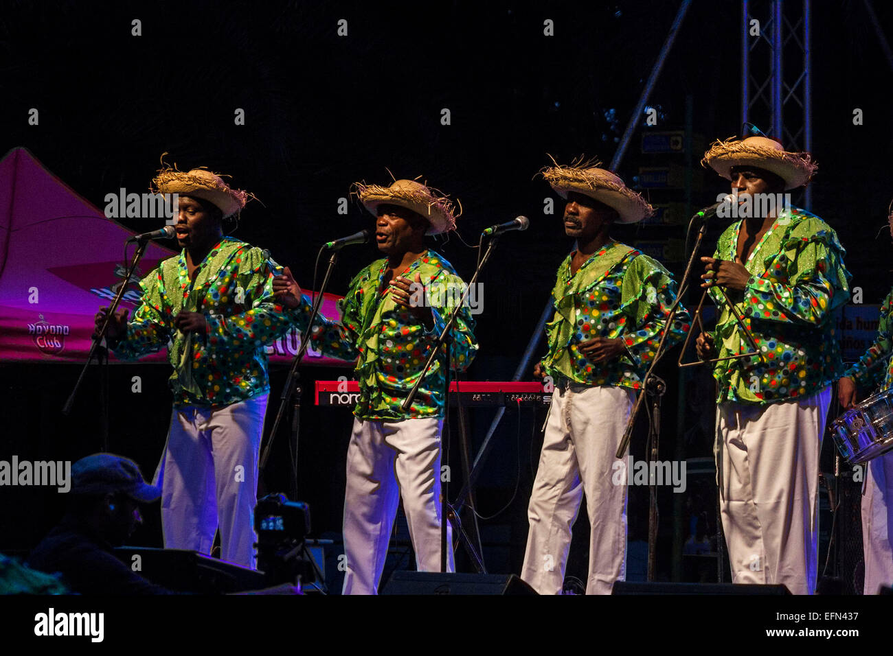 Havana, Cuba. 7th Feb, 2015. A Cuban musical group performs a song during the Havana World Music