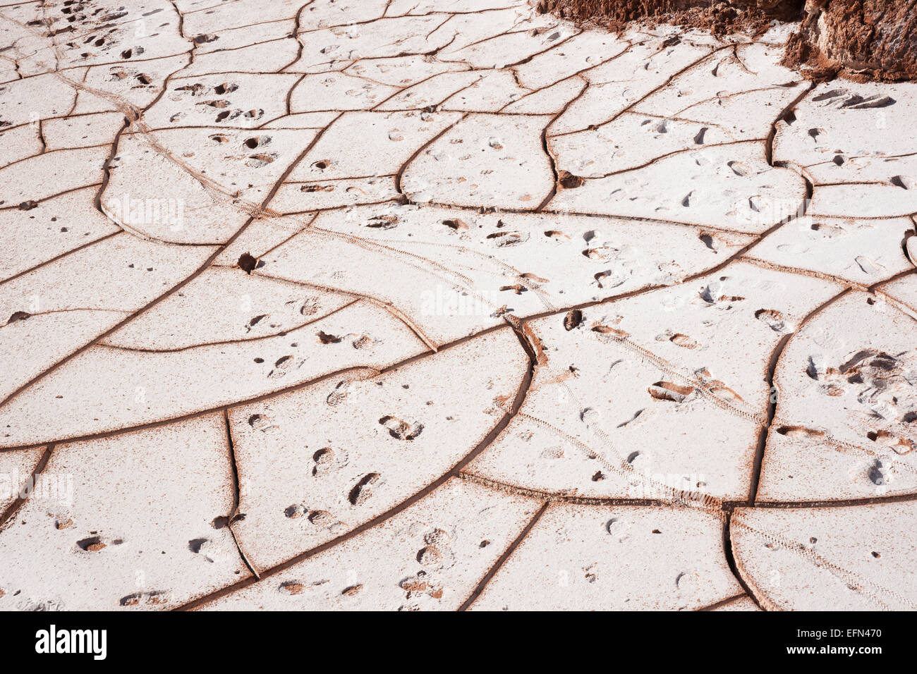 Footsteps and cracked clay on white floor of Moon Valley, Atacama Desert, San Pedro, Chile, South America Stock Photo