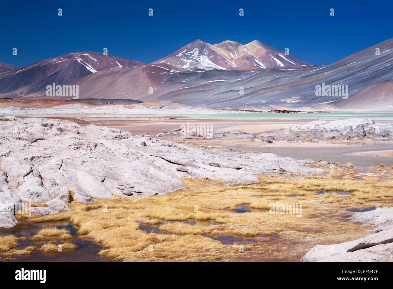 Miscanti Volcano and high plateau lagoon in San Pedro de Atacama desert, Chile, South America Stock Photo