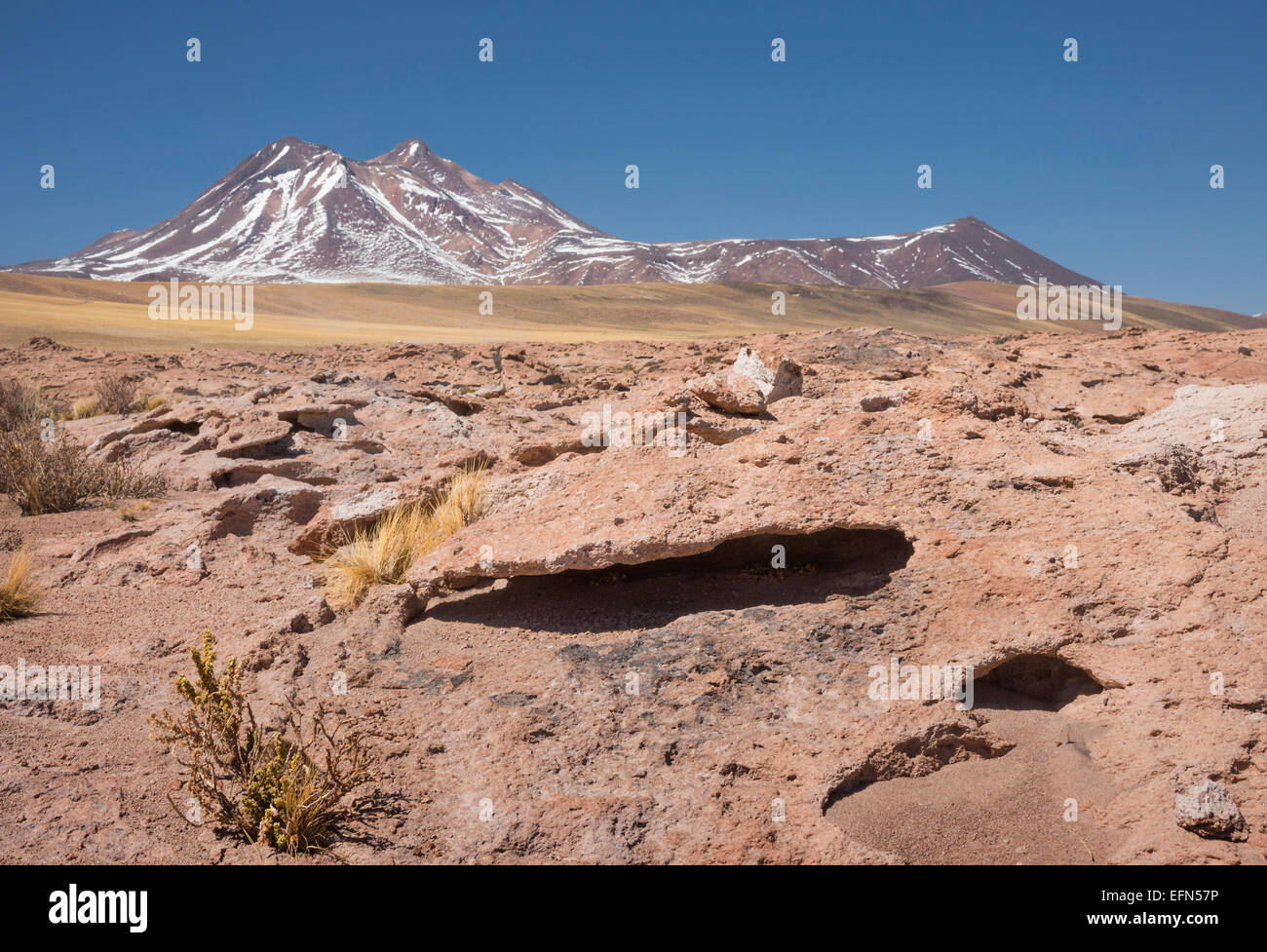 Lava field from Miniques Volcano in San Pedro de Atacama desert, Chile, South America Stock Photo