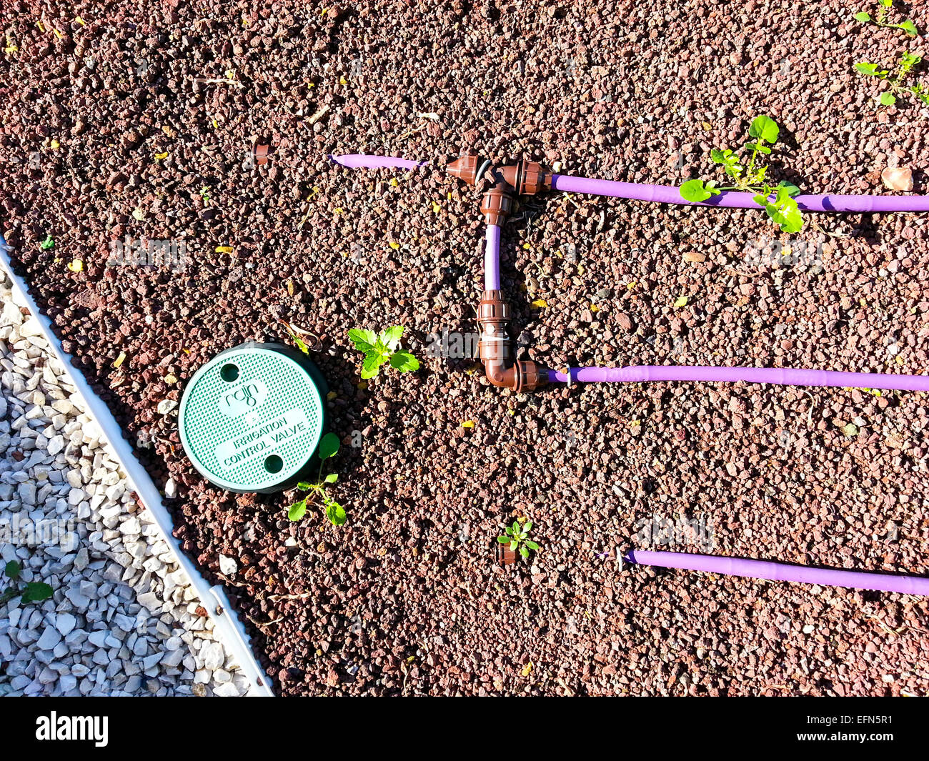 Ecological gardening. Drip irrigation in a tuff covered Flower bed. The tuff decreases the water