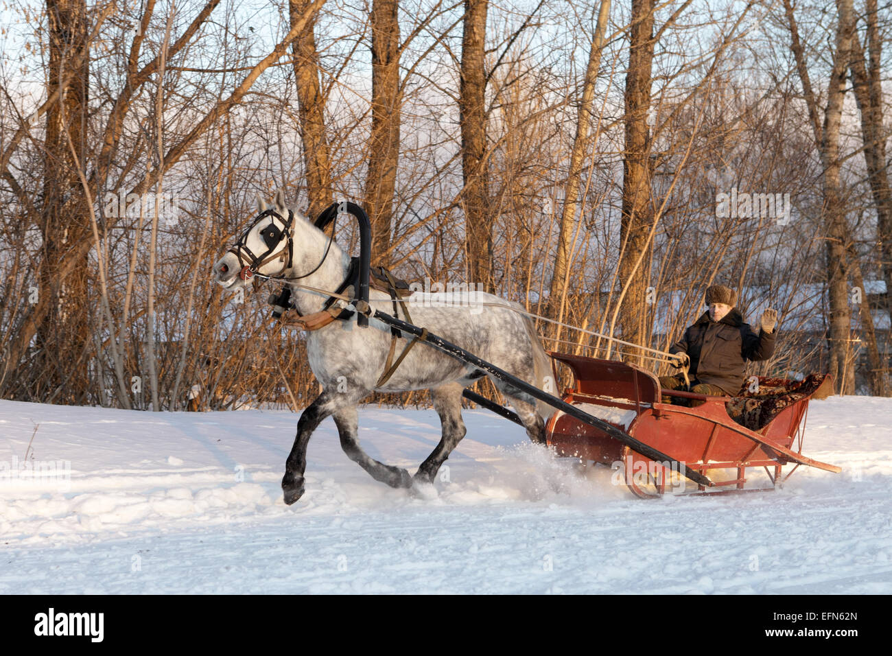 A person with a horse-drawn sleigh in the village of Tambov region Stock Photo
