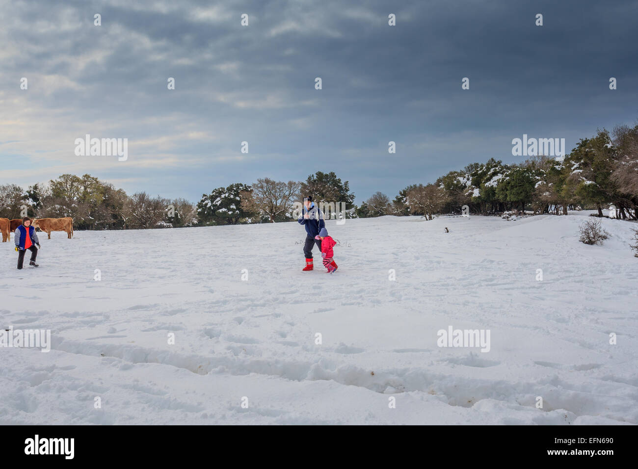 Snowscape. Photographed in the Golan Heights, Israel Stock Photo