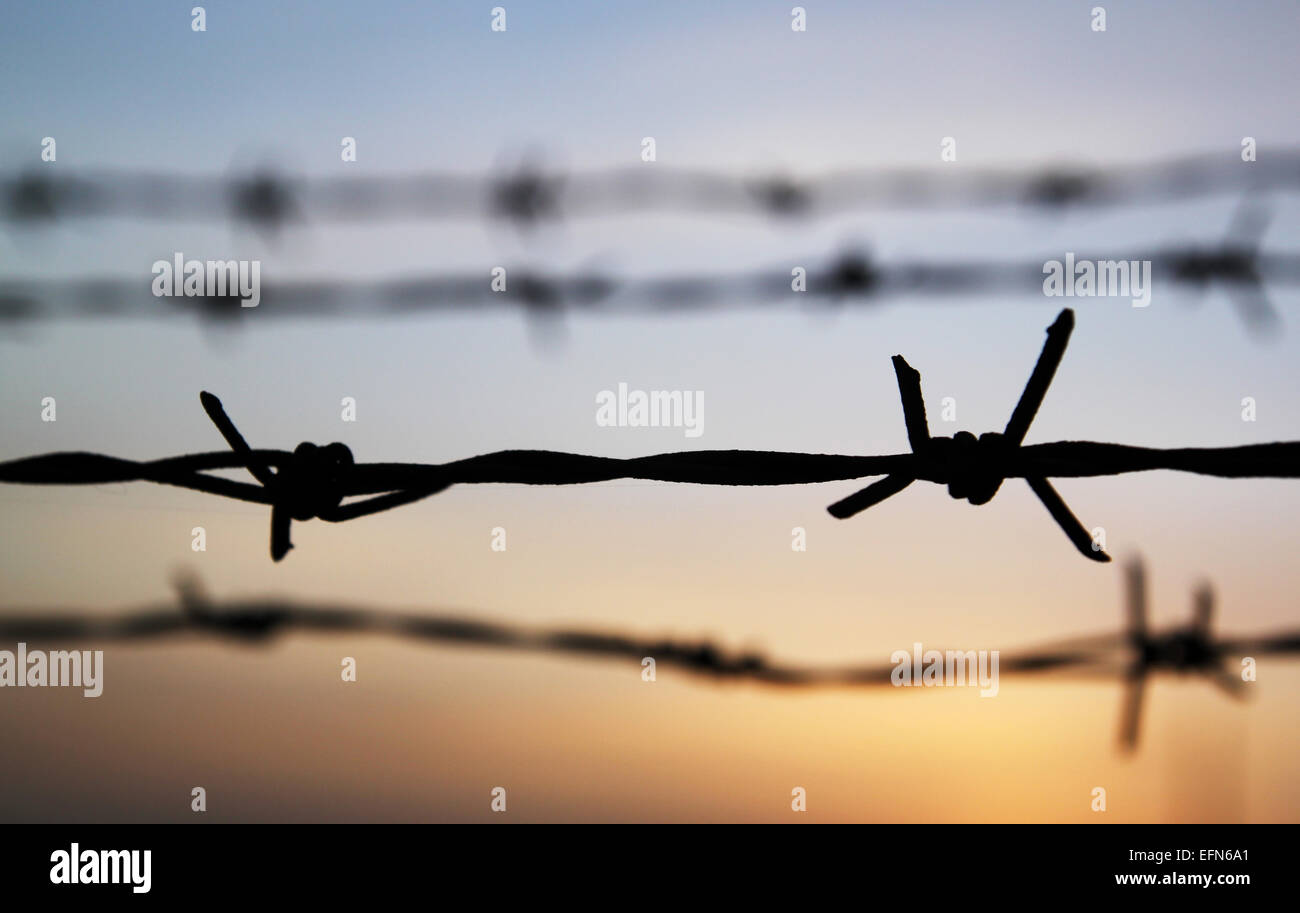 A slihouette of barbed wire against the sunset Stock Photo - Alamy