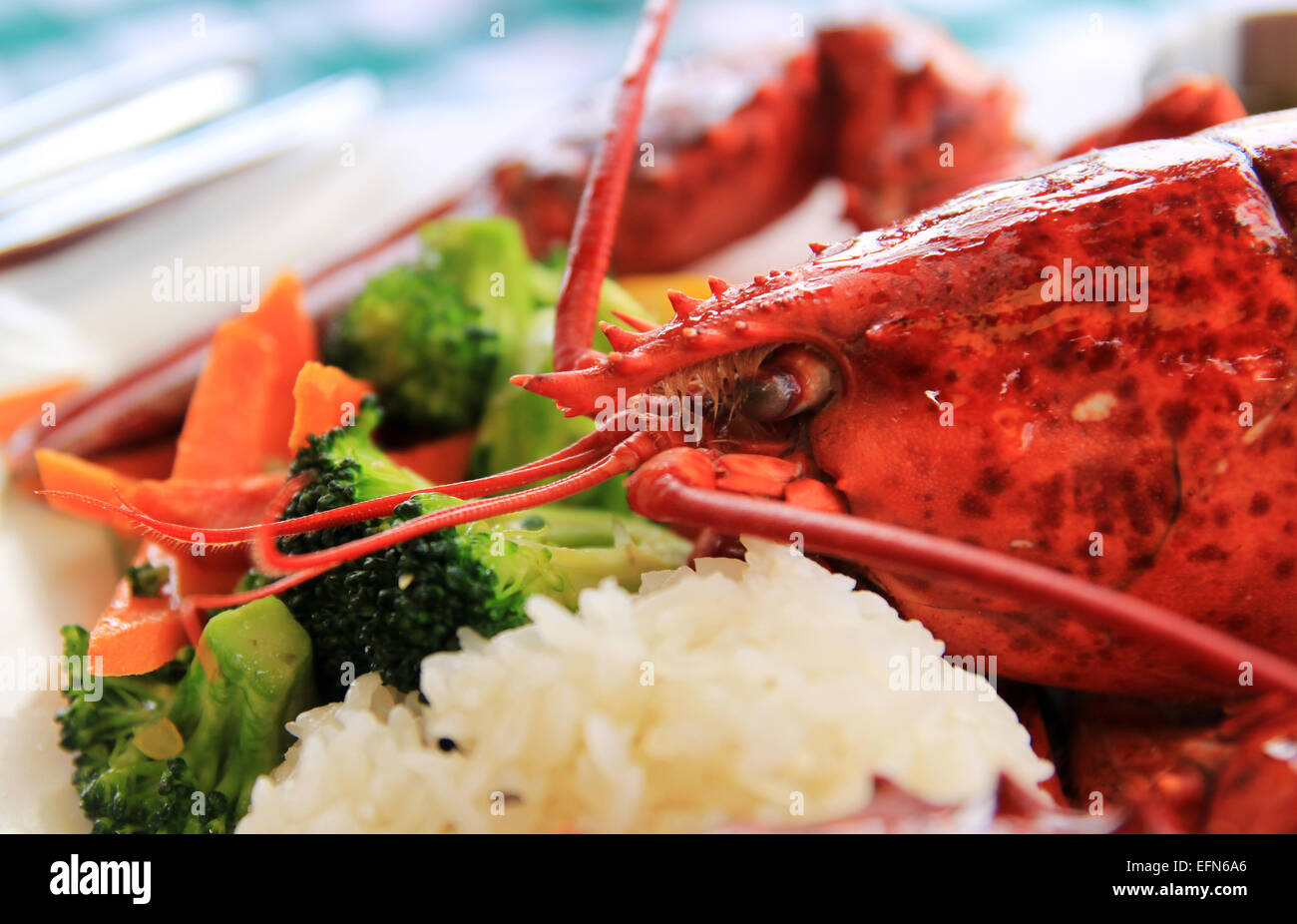 A cooked lobster on a plate with vegetables. Stock Photo