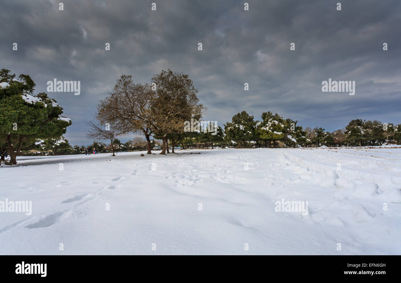 Snowscape. Photographed in the Golan Heights, Israel Stock Photo