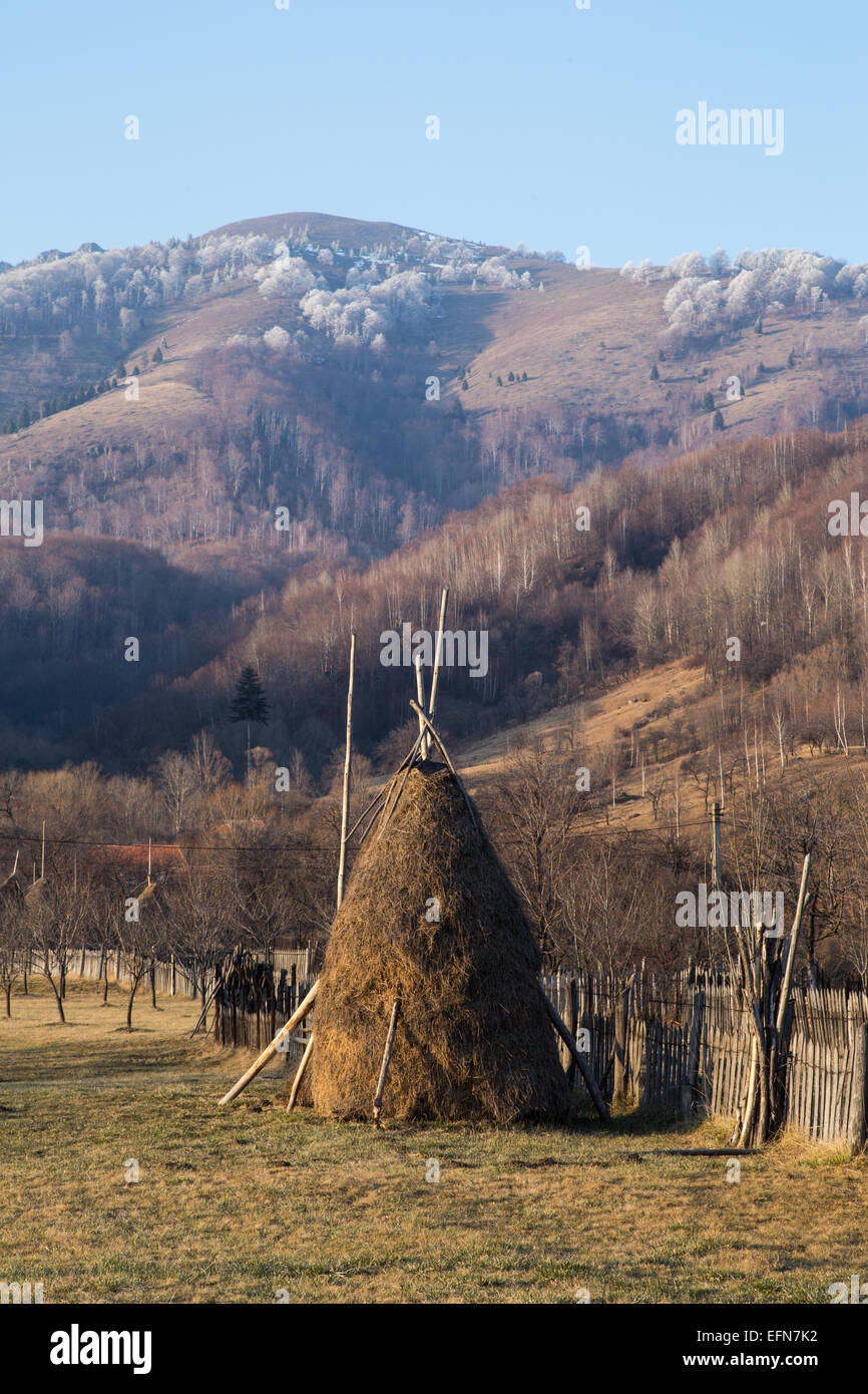 Romanian countryside featuring haystacks. They are unique among the countries of Europe and quite common. Stock Photo