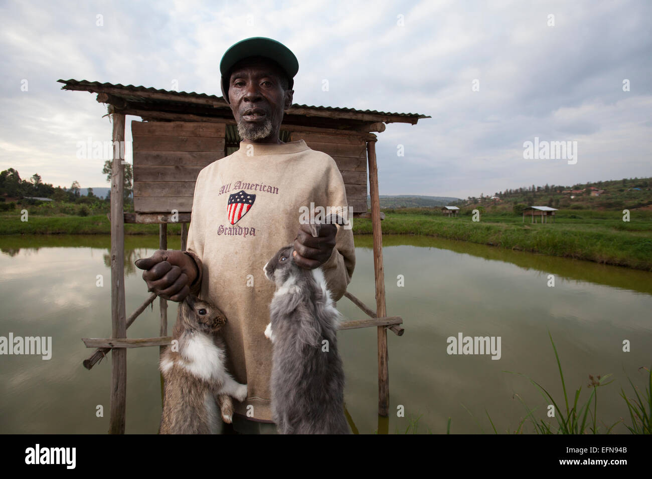 Rwandan farmers show off domestic rabbits outside their hutches which ...