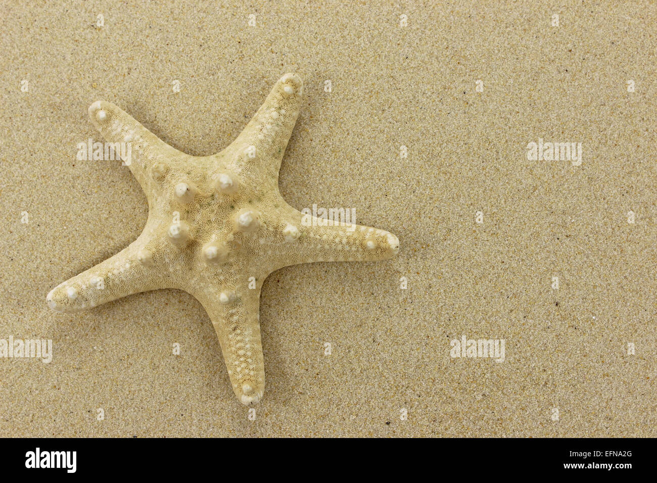 gold-coloured-starfish-on-golden-sand-background-stock-photo-alamy