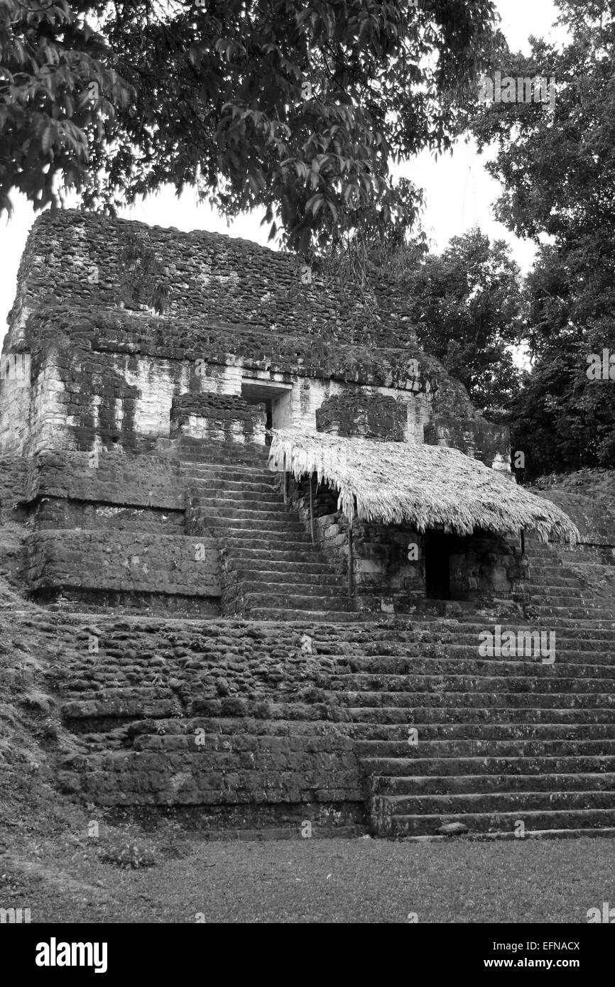 Mayan Temple In Tikal National Park Stock Photo