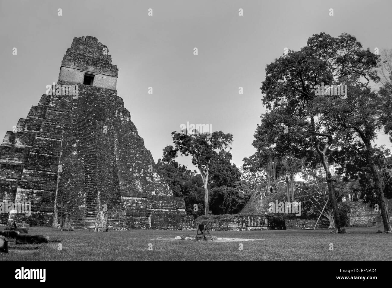 HDR Photograph Of Temple 1 In Tikal's Central Plaza Stock Photo