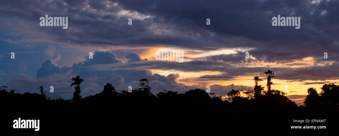 Tropical sunset and rainforest silhouette Stock Photo