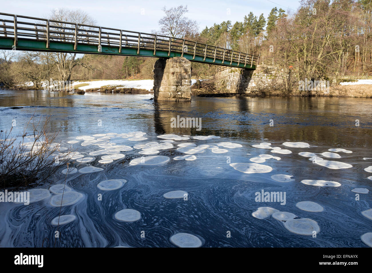 Holwick Head Bridge, Upper Teesdale, County Durham. UK Weather. Ice pancakes forming on the River Tees due to the continuing cold weather.  These frozen ice discs only form when temperatures dip well below freezing overnight and then as they thaw during the day they bump into each other and create rounded plates. Credit:  David Forster/Alamy Live News Stock Photo
