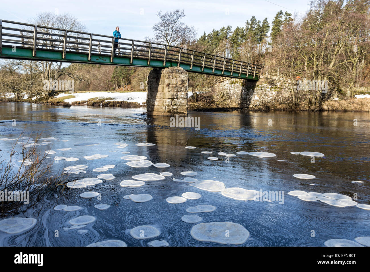 Holwick Head Bridge, Upper Teesdale, County Durham. UK Weather. Ice pancakes forming on the River Tees due to the continuing cold weather.  These frozen ice discs only form when temperatures dip well below freezing overnight and then as they thaw during the day they bump into each other and create rounded plates. Credit:  David Forster/Alamy Live News Stock Photo