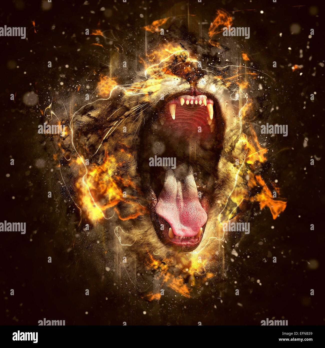 Lion, the King of beasts and the most dangerous animal of the world. Stock Photo