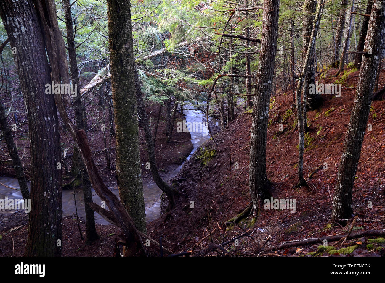 Woodlands, Nova Scotia, Canada Stock Photo Alamy