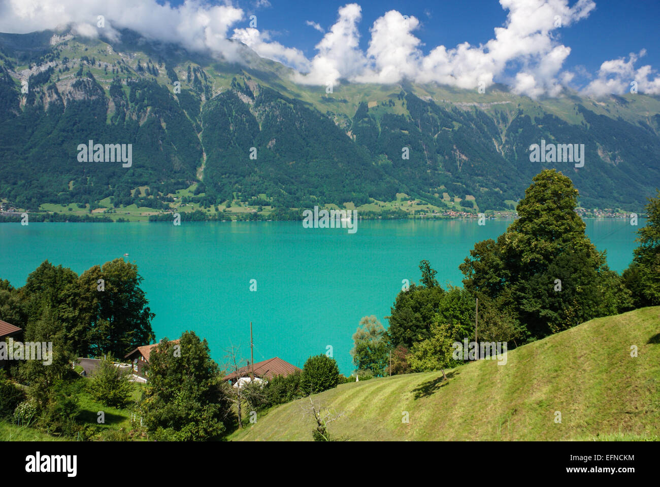 scenery around Lake Brienz of Jungfrau region, Switzerland Stock Photo ...