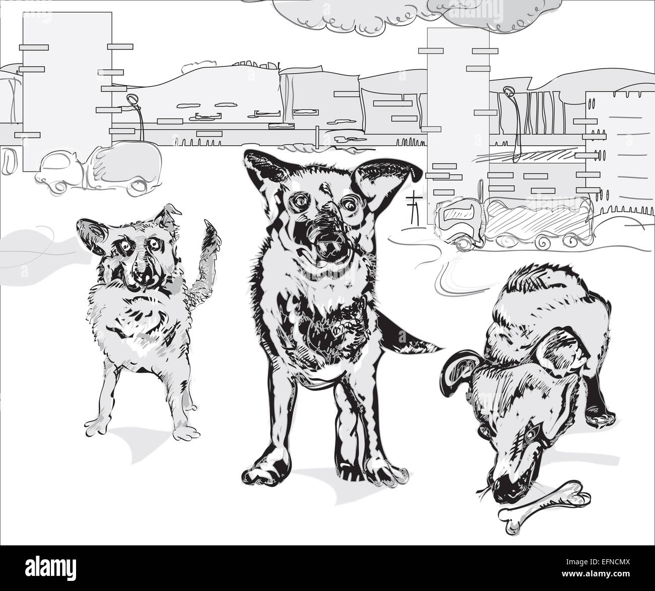 Pack Of Dogs Stock Photo Alamy