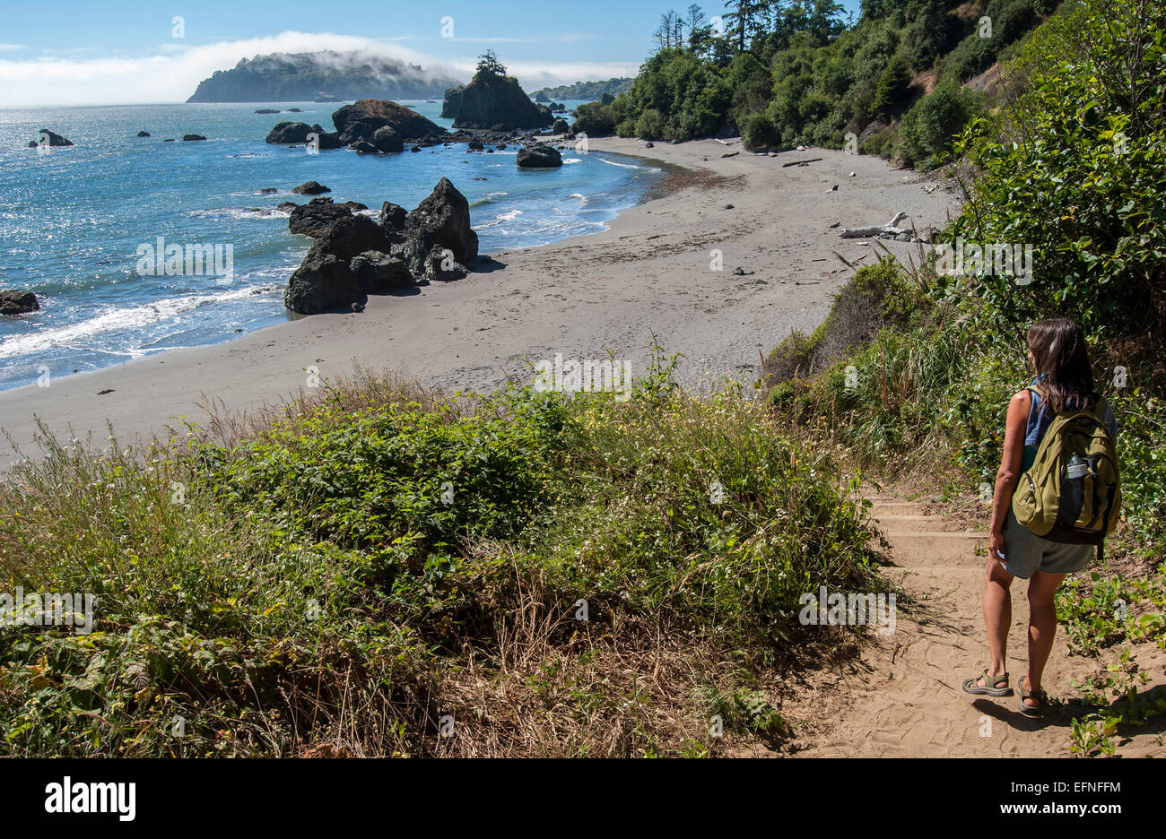 Trail to a secluded beach near Trinidad, California Stock Photo