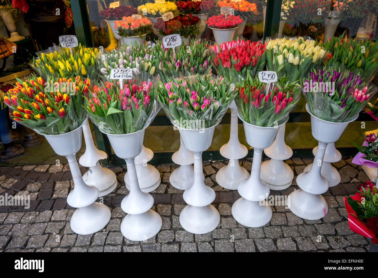 Spring tulips displayed for sale Wroclaw Plac Solny Square Stock Photo