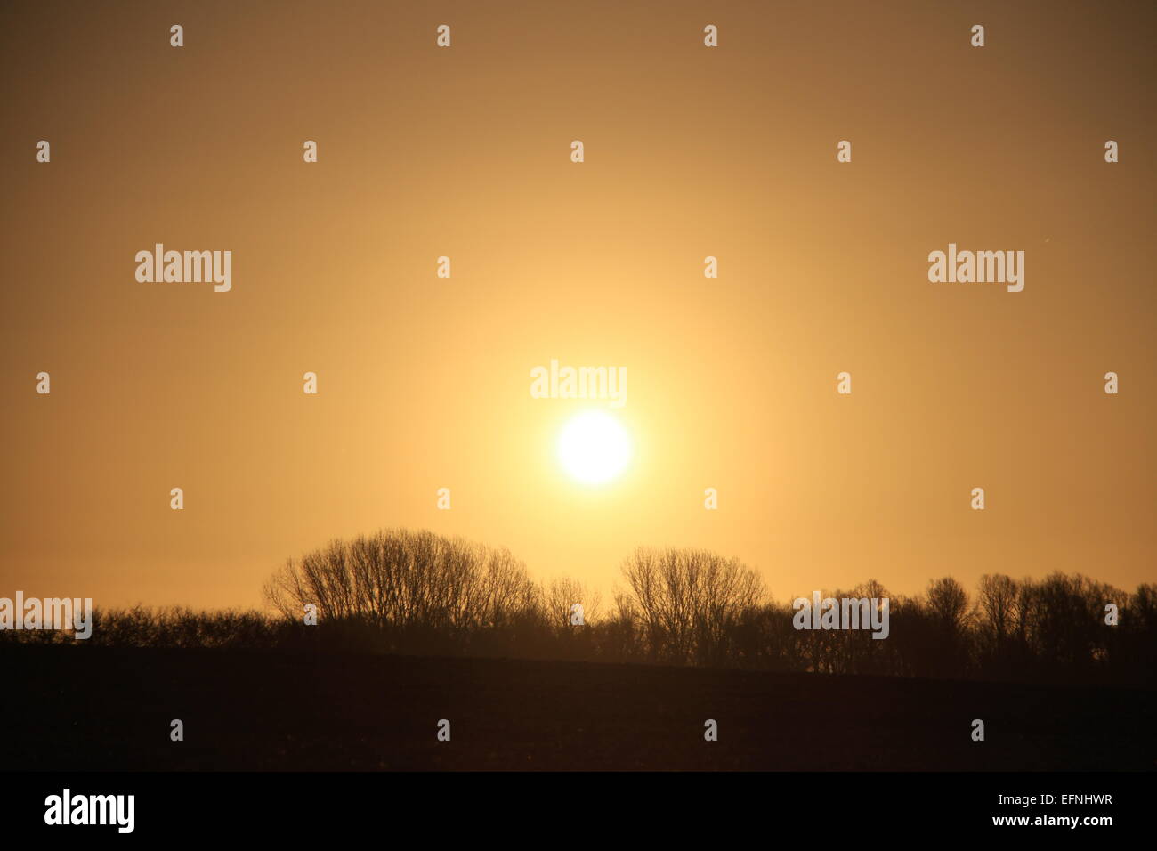Golden dawn hi-res stock photography and images - Alamy
