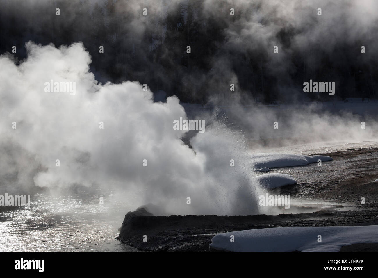 A photograph of Cliff Geyser in Black Sand Basin, Yellowstone National ...