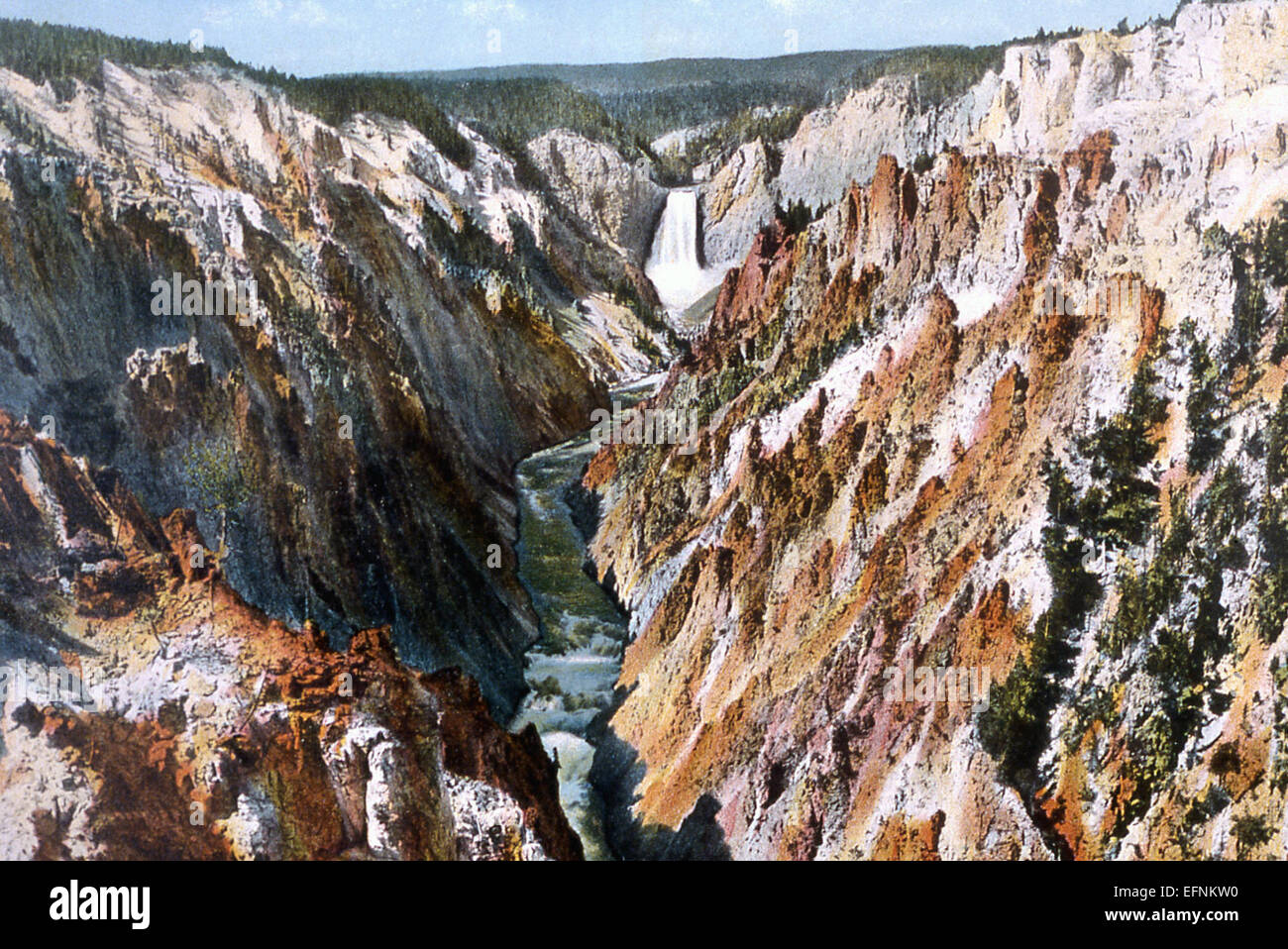 Grand Canyon of Yellowstone Postcard of the Yellowstone Canyon as seen