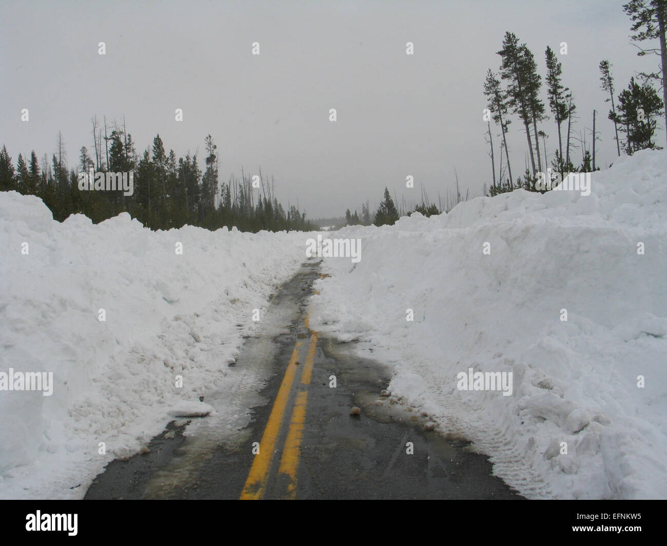 Grant Junction looking south toward the South Entrance of Yellowstone National Park, photographed by Davey Wyatt during spring plowing on March 30, 2011. Stock Photo