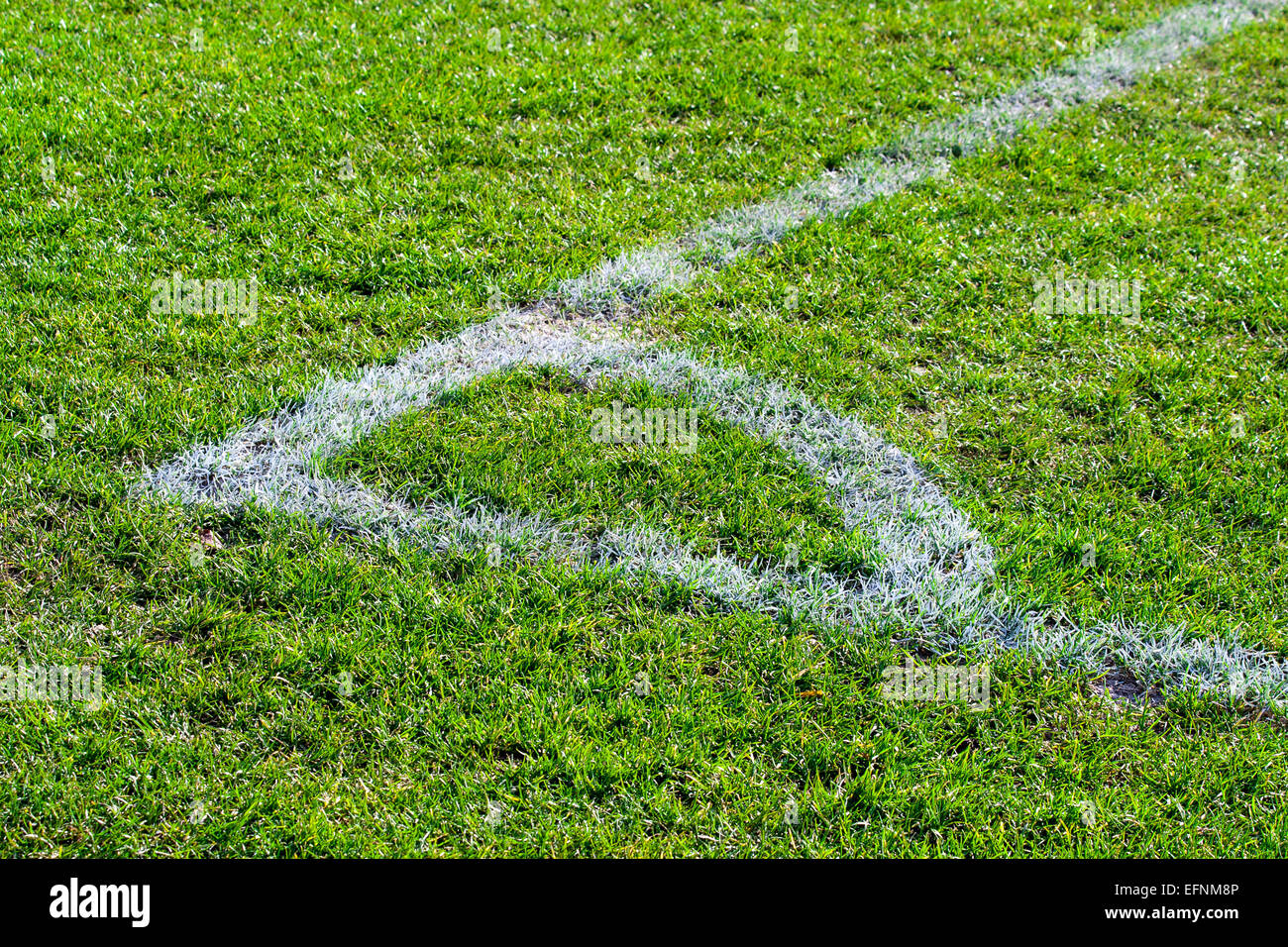 corner-point-on-the-football-field-soccer-stock-photo-alamy