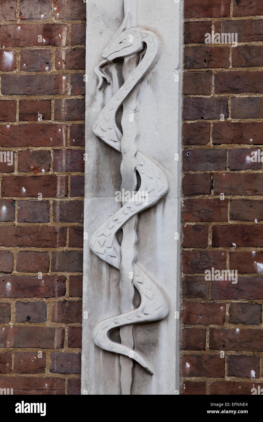 Bas-relief sculpture of an entwined Aesculapian Snake (Zamensis longissimus), formerly Elaphe longissimus. Logo. Here on an exterior wall of  St. Bartholomew's Hospital, Charterhouse Square, Barbican, London. Stock Photo