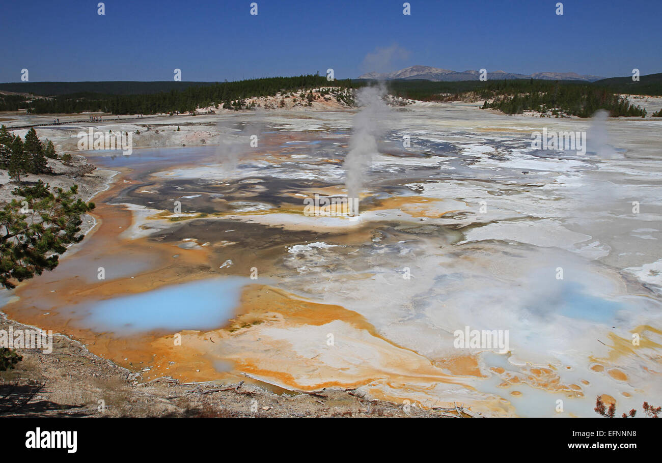 Porcelain Springs, located in the Norris Geyser Basin of Yellowstone ...