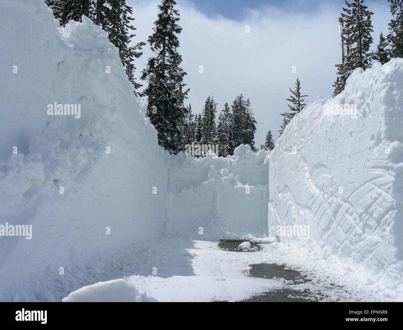 Road to Lewis Lake Campground Spring plowing; Davey Wyatt; Spring ...