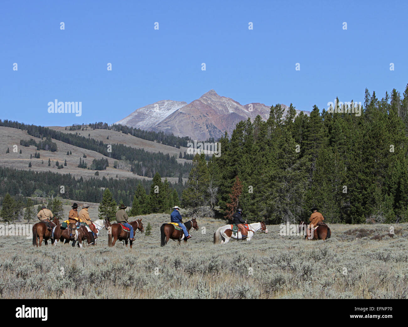 This photograph captures a trail ride on horseback, heading out from ...