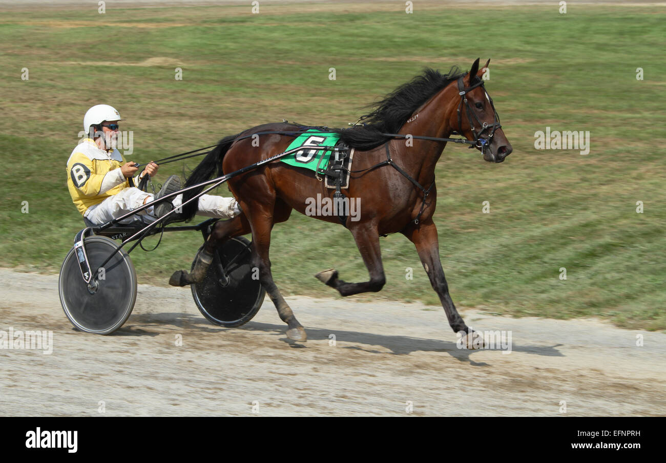 Horse Harness Racing. Trotters. Canfield Fair. Mahoning County Fair. Canfield, Youngstown, Ohio, USA. Stock Photo