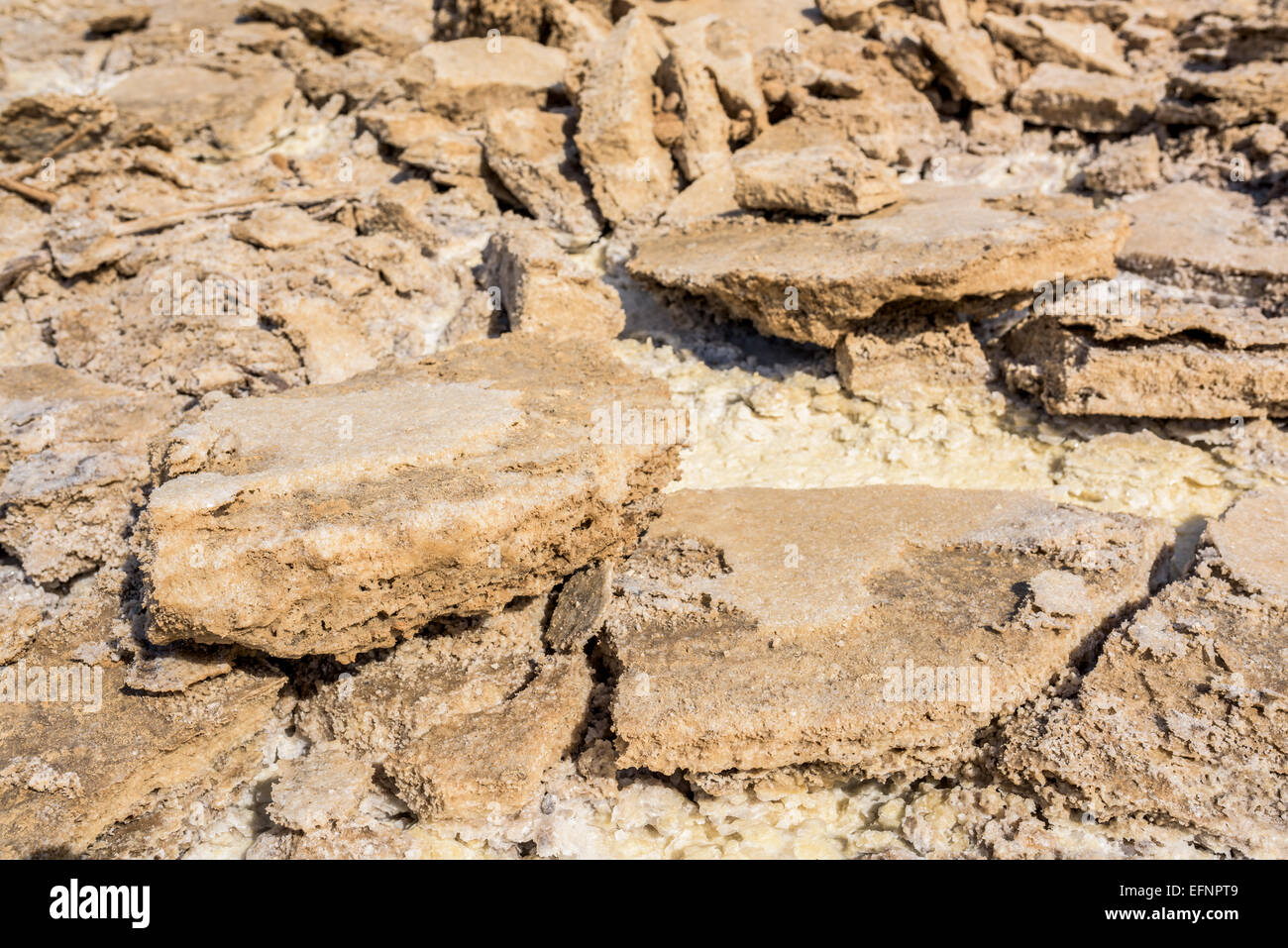 Salt mine in Danakil Depression desert in Ethiopia Stock Photo