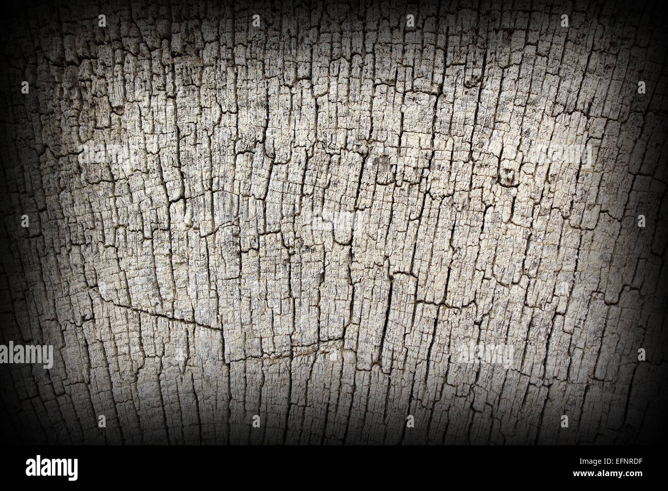 antique  oak wood texture on exterior of very old church Stock Photo