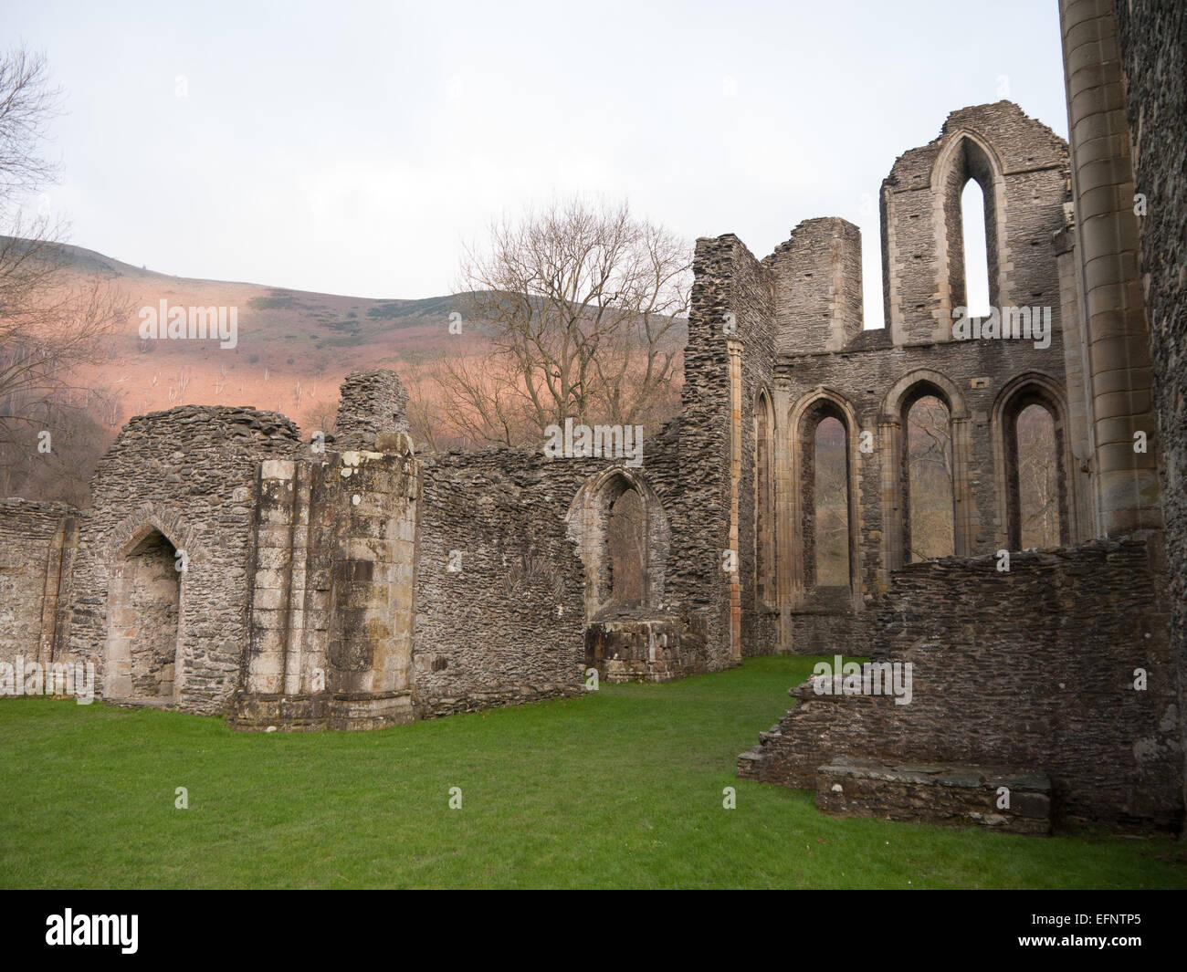 Valle Crucis Abbey, Cistercian Abbey Stock Photo