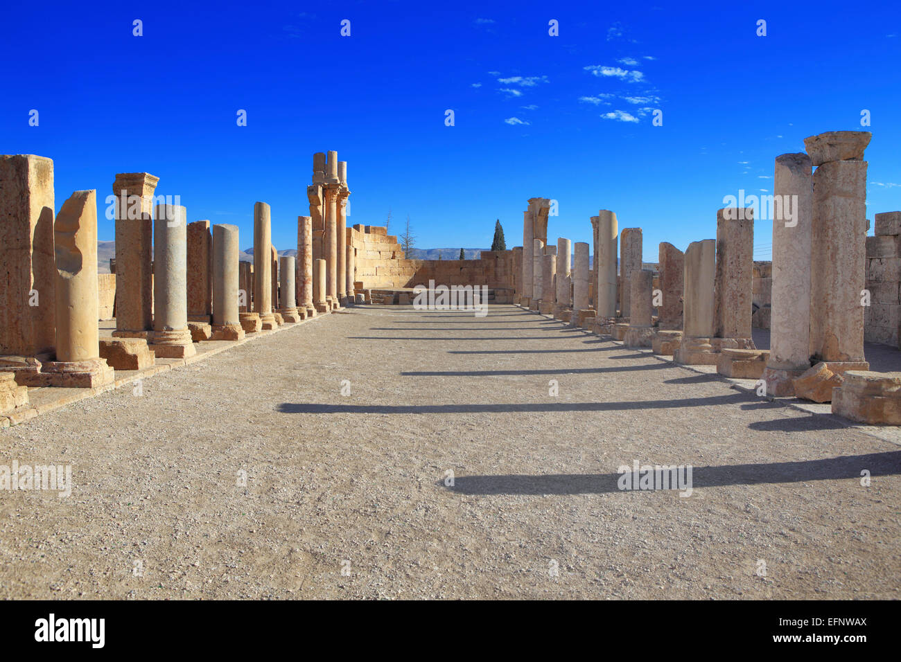 Street of ancient Roman town, Tebessa, Algeria Stock Photo