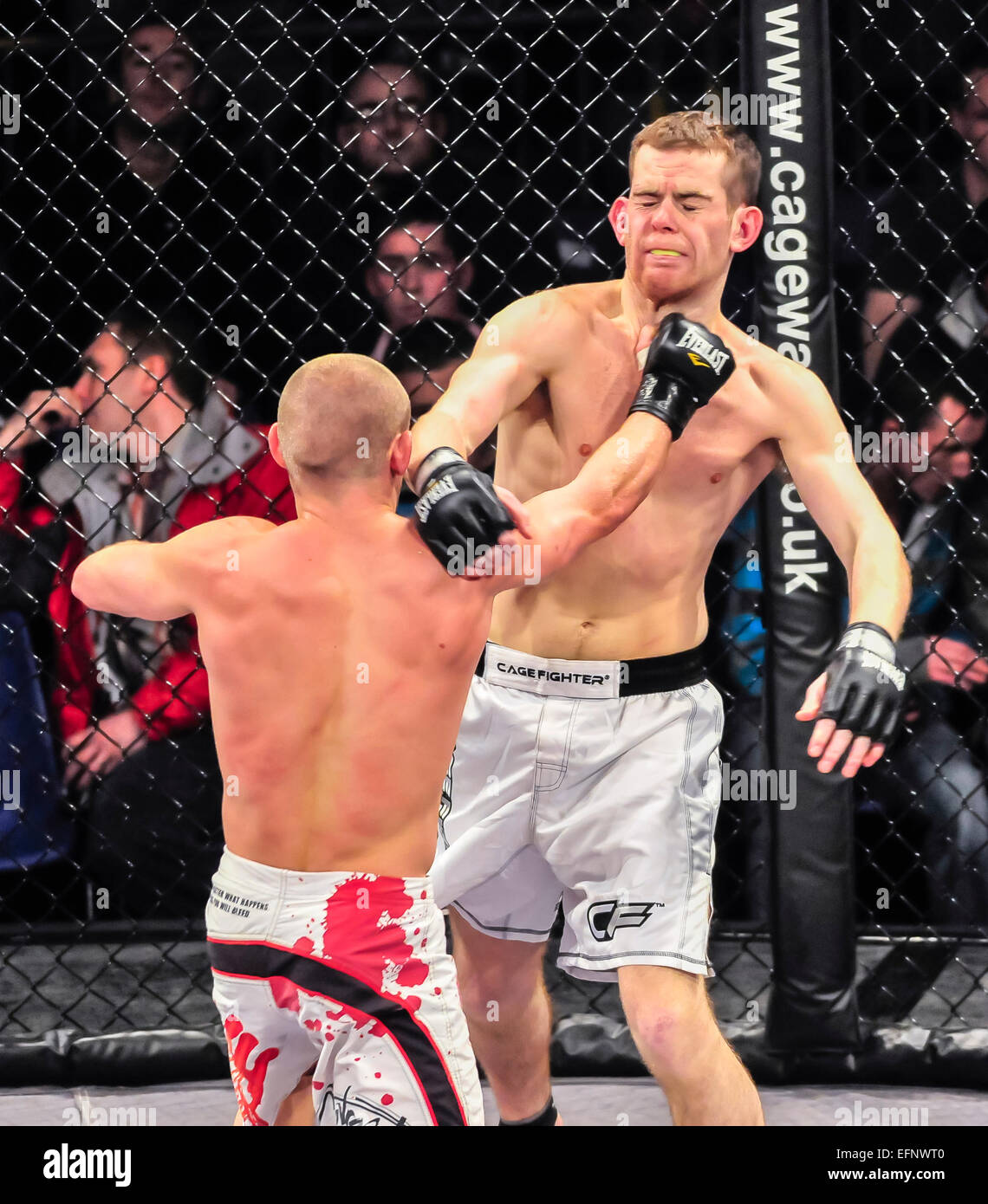 Punch to jaw hires stock photography and images Alamy