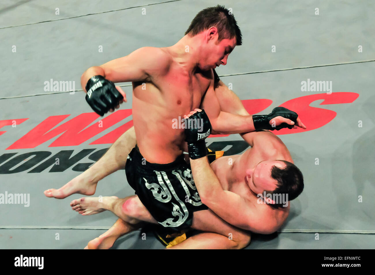 MMA fighter pins his opponent on the canvas and starts landing punches to his head. Stock Photo