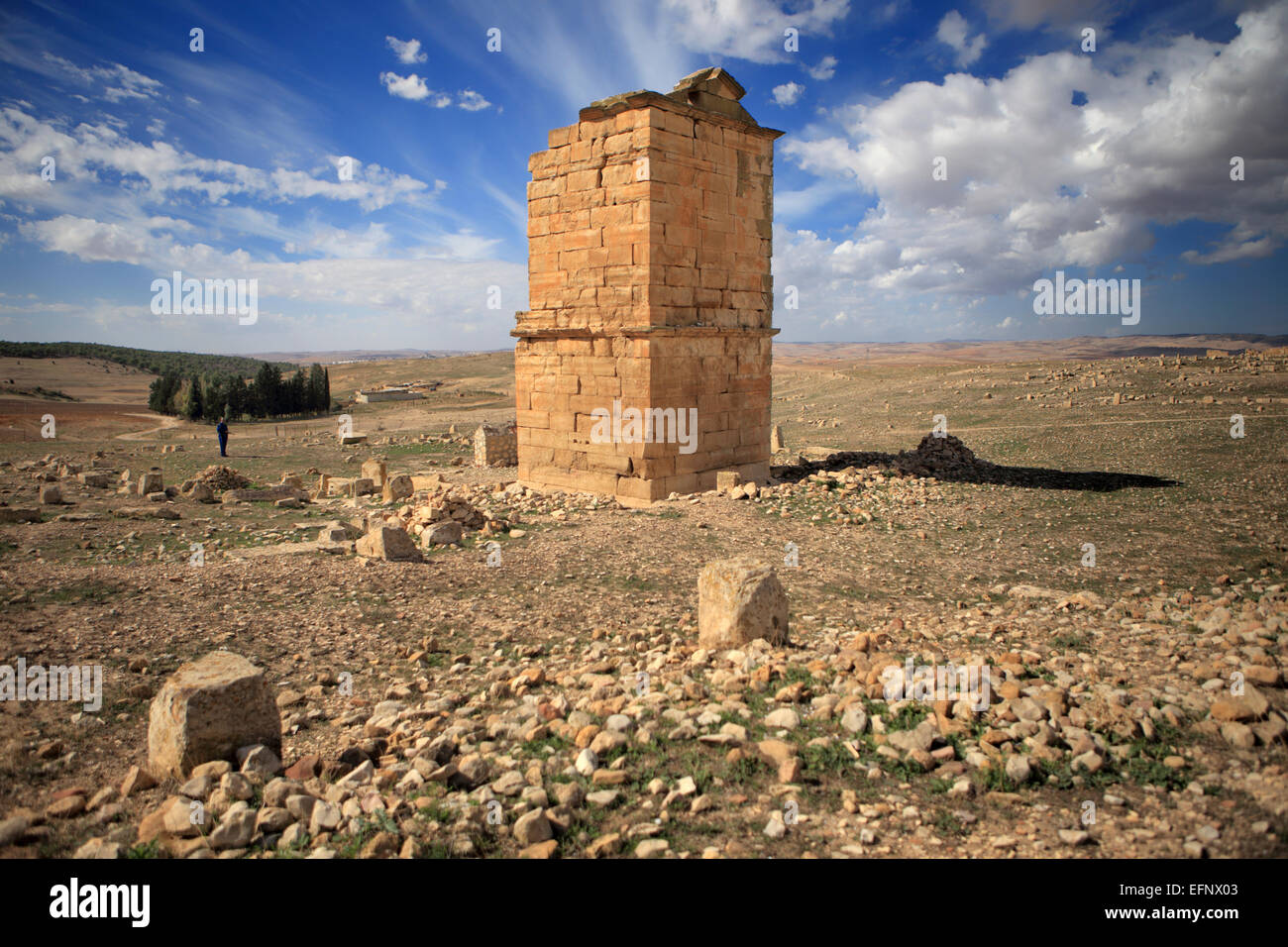 Ruins of ancient city of Madauros, M'Daourouch, Souk Ahras Province, Algeria Stock Photo