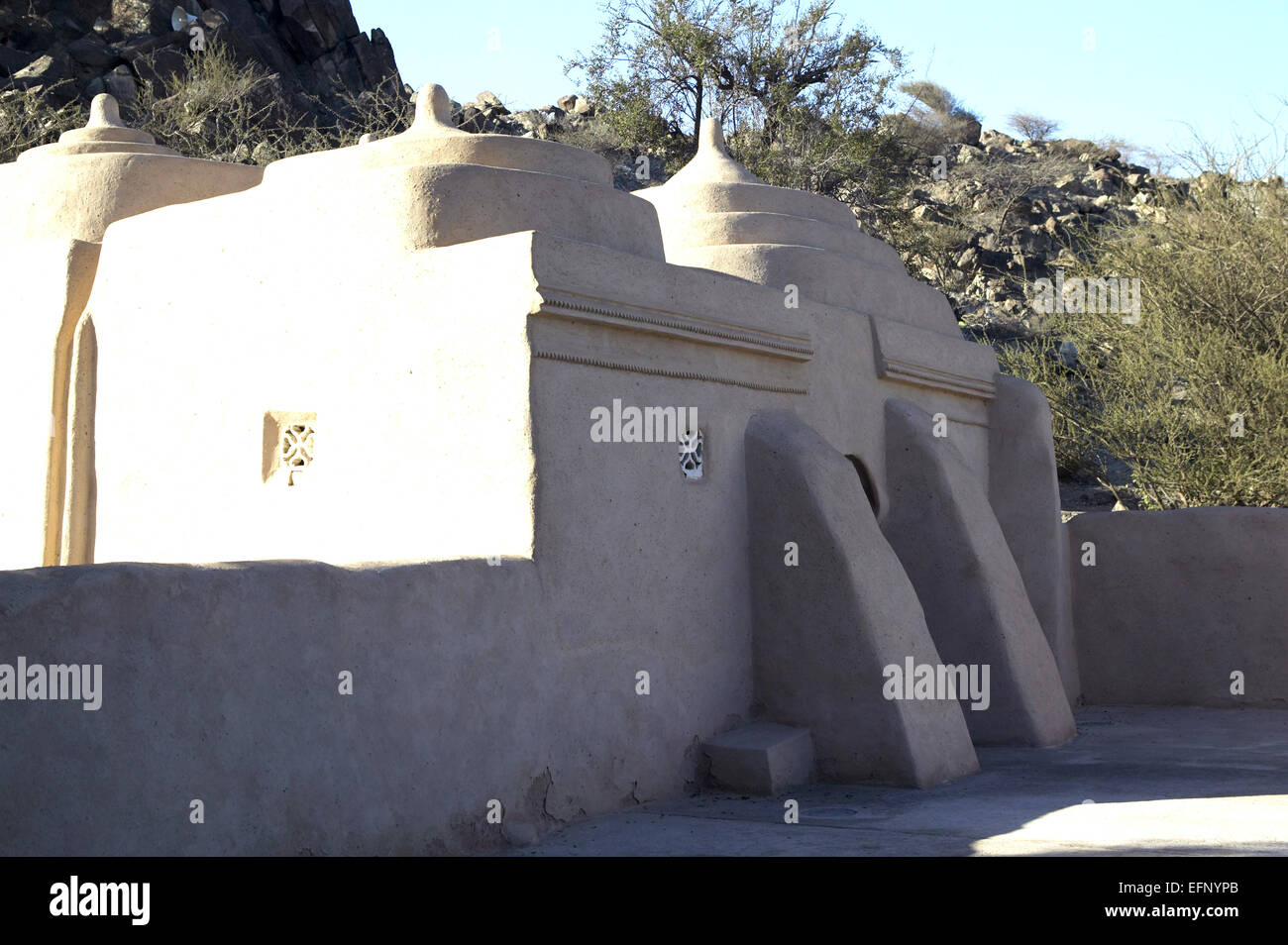 shop Surviving Camp Inca : a life changing