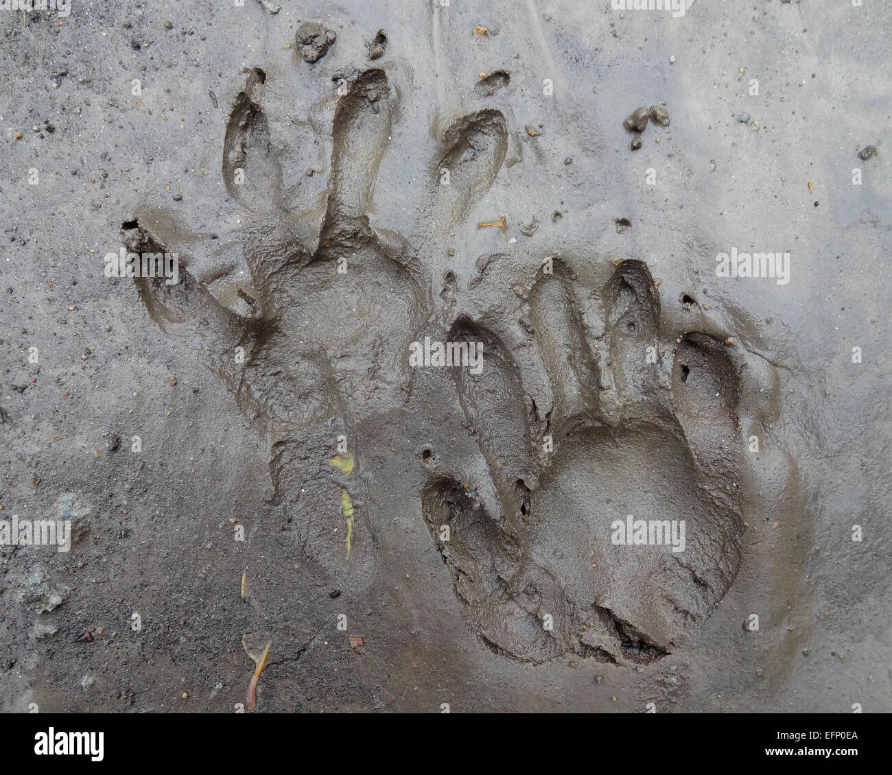 My Image 30